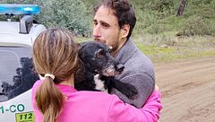 Rescatan con vida a Boro, el perro perdido de una de las víctimas de la tragedia de Adamuz