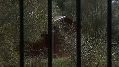 900 euros por una caseta de jardín en Mallorca: el anuncio de alquiler que desata la indignación