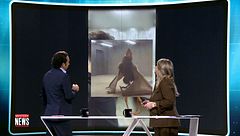 El vídeo de un murciélago zorro gigante provoca debate en 'Cuarto Milenio': ¿IA o imagen real?