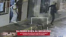 Un perro evita el secuestro de su dueña a manos de cuatro encapuchados