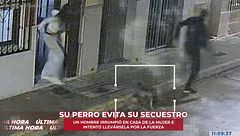 Un perro evita el secuestro de su dueña a manos de cuatro encapuchados