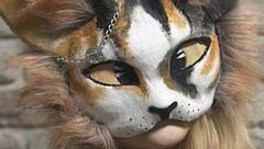 El fenómeno de los 'therians', adolescentes que se identifican como animales, llega a España: puede tratarse de un trastorno