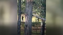 Así cazaron a El Mencho, el narco más buscado en México: un encuentro con su amante le condenó