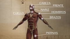 Las brutales lesiones que mataron a Samuel Luiz: tenía más de 30 golpes en el cuerpo