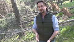 Ganaderos, ingenieros y vecinos urgen limpiar los montes para evitar incendios: "Todo esto son pastillas de encender en unos meses"