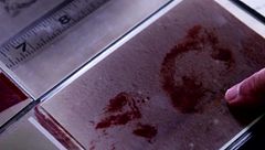 ¿Cómo se convirtió Richard Kuklinski en el brazo armado del clan de los Gambino?