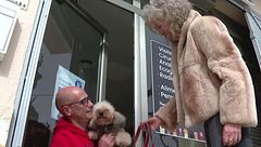 Sagrario deja en herencia a su perra con respaldo económico: una nueva legislación le da amparo