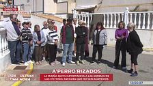 Guerra de vecinos por unos perros agresivos en Orihuela (Alicante): “Le mordió los testículos para defenderme”