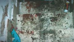 Leonardo se deshizo del cuerpo, aunque conservó algunas partes como "trofeos"