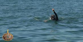 La especial dedicatoria de Alba Paul al pescar su primer pez en 'Supervivientes', acordándose de Dulceida