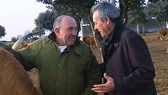 P28 - El Capricho de José Gordón inaugura su espiritual cúpula