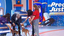 El mensaje de Carlos Sobera tras conocer a dos perros que buscan adopción en 'El precio justo': ''¿Cómo es posible que tengamos este país?''
