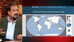 El de Xàbia no es el único: otros tiburones que hicieron su aparición y causaron auténticas masacres