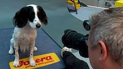Así consigue el fotógrafo Christian Vieler las imágenes más divertidas de perros en Barcelona