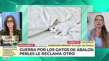 Exmujer de Ábalos, sobre la polémica del gato: "Se lo regaló a mi hijo y ahora lo tiene Andrea"
