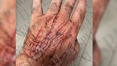 La gata de la discordia entre Ábalos y su ex atacó a Koldo