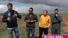Una plaga de conejos pone en jaque a un grupo de agricultores conquenses: "Nos está llevando al borde de la ruina"