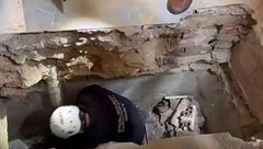 El cadáver de Jesús Tavira estaba en descomposición a dos metros bajo tierra, tenía heridas de arma blanca y llevaba una medalla