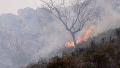 Las olas de calor y los incendios, consecuencias del cambio climático en Europa