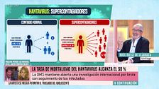 Verdades y mentiras sobre el hantavirus: el virólogo Raúl Ortiz de Lejarazu aclara algunas informaciones sobre el virus