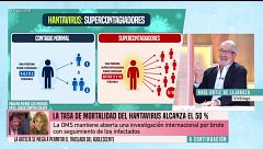 Verdades y mentiras sobre el hantavirus: el virólogo Raúl Ortiz de Lejarazu aclara algunas informaciones sobre el virus