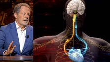 Las emociones cerebrales pueden dañar el corazón: "Un disgusto puede romperte el corazón de manera literal"