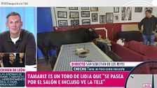 La conexión de riesgo de un reportero de 'El tiempo justo' con Tamariz, el toro bravo que tiene como mascota Chechu: "No te aseguro nada"