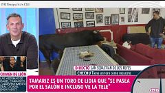 La conexión de riesgo de un reportero de 'El tiempo justo' con Tamariz, el toro bravo que tiene como mascota Chechu: "No te aseguro nada"