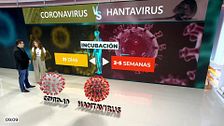 El verdadero riesgo de que el hantavirus se convierta en una réplica del coronavirus