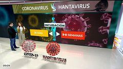 El verdadero riesgo de que el hantavirus se convierta en una réplica del coronavirus