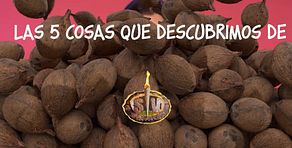 Cinco cosas que descubrimos de los 'Supervivientes 2026'