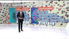 Las diferencias entre el hantavirus y el coronavirus: uno de ellos es muy contagioso y el otro es un patógeno conocido para la comunidad científica