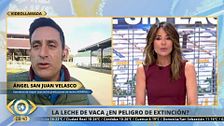 La leche de vaca pierde terreno: crece el consumo sin lactosa y de bebidas vegetales