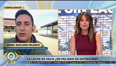 La leche de vaca pierde terreno: crece el consumo sin lactosa y de bebidas vegetales