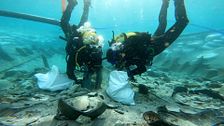 Un tesoro romano bajo el mar de Mallorca: todo sobre la extradición del pecio de Ses Fontanelles