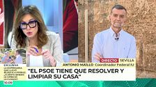 Antonio Maíllo, sobre el PSOE: "Tiene que resolver y limpiar su casa"