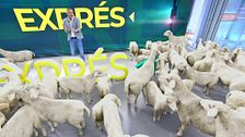 Las imágenes más impactantes del día