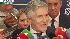 Marlaska, de la directora de la Guardia Civil: "No hubo reunión relacionada con la trama"