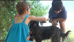 Los españoles tienen más de 15 millones de animales de compañía