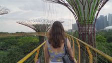 Los rincones más emblemáticos e imprescindibles que todo turista visita en Singapur