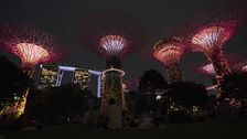 La doble cara de Singapur: del lujo cosmopolita a la naturaleza más salvaje