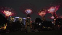 La doble cara de Singapur: del lujo cosmopolita a la naturaleza más salvaje