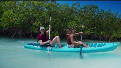 El extraordinario ecosistema de Moriah Harbour Park en Bahamas: un paseo en kayak por los manglares de Exuma
