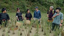 Luis Zahera y María Pérez acuden a los arrozales de 'Fanpai' y se quedan en shock con el arduo trabajo que realizan: "Mucho mérito"