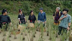 Luis Zahera y María Pérez acuden a los arrozales de 'Fanpai' y se quedan en shock con el arduo trabajo que realizan: "Mucho mérito"