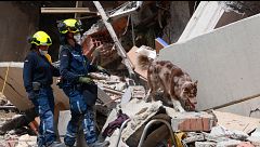Los perros rescatistas en Venezuela, imprescindibles para hallar supervivientes bajos los escombros