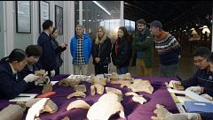 El exclusivo recorrido por el Museo del Ejército de Terracota de Jesús Calleja y sus invitados: así se restauran sus guerreros