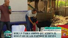 La cabra Rubí, el nuevo Pulpo Paul, hace su predicción para el Mundial