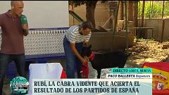 La cabra Rubí, el nuevo Pulpo Paul, hace su predicción para el Mundial