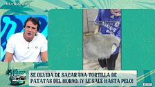 Se olvida de sacar una tortilla de patatas del horno... ¡y le sale hasta pelo!: las imágenes, en 'El verano se mueve'